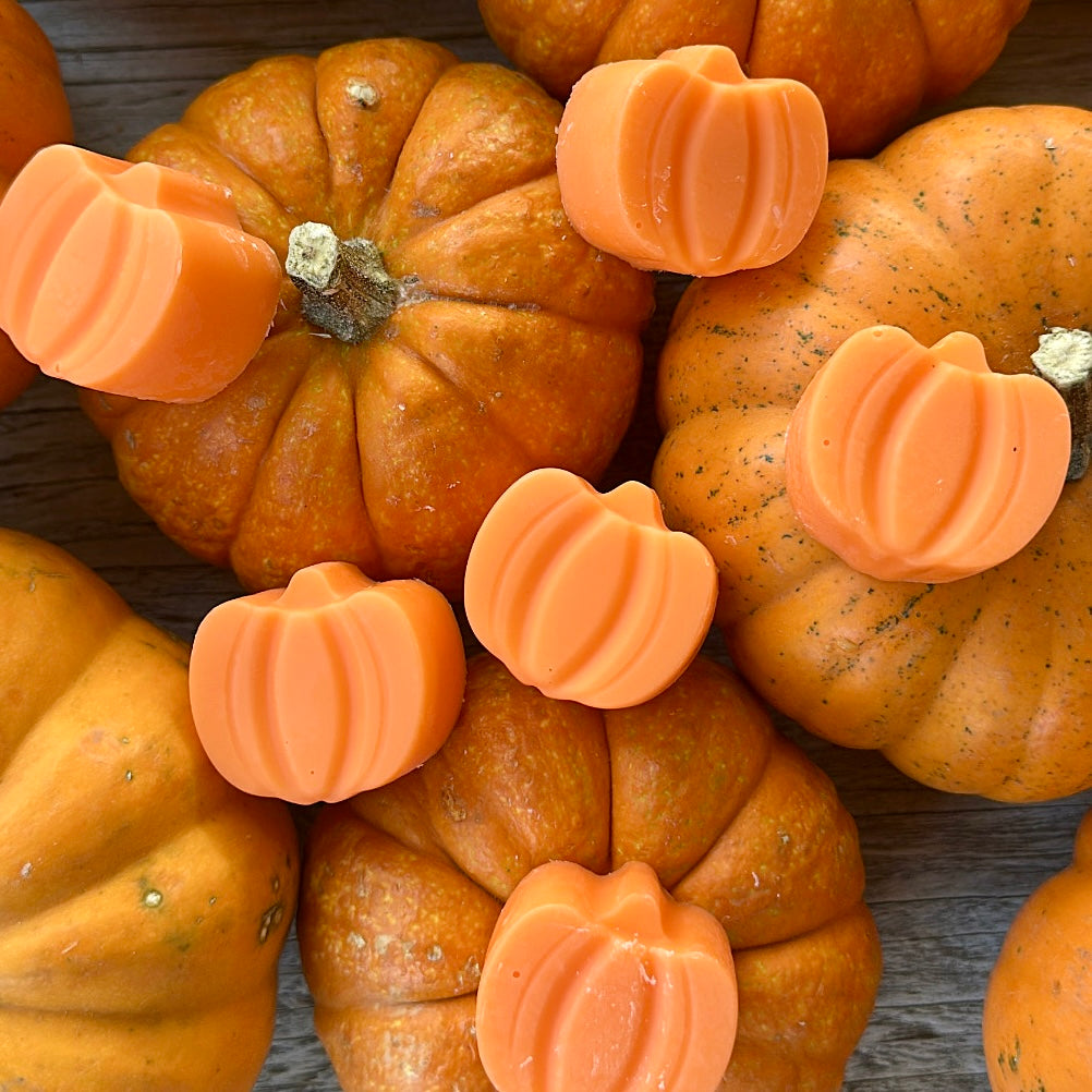 Pumpkin Cupcake Wax Melts